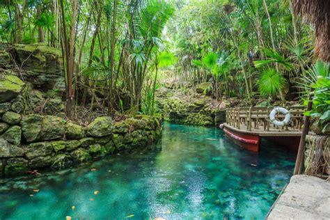 xcaret natural adventure park cozumel|Xcaret Park Review: Is This Adventure Park Worth It。